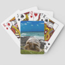 Search for sea turtle playing cards Background