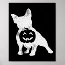 Search for siberian husky puppy posters Puppies