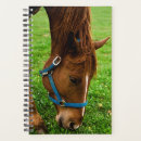 Search for equine image Farm
