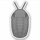 Search for extinct stickers Fossil