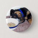 Search for rottweiler dog badges Rottweilers