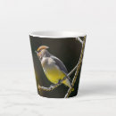 Search for wild bird mugs Songbird