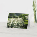 Search for beautiful rose cards Green