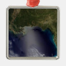 Search for photography christmas tree decorations Outdoors
