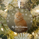 Search for cat christmas decor Kitten