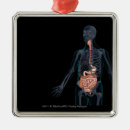 Search for transparent christmas tree decorations Body