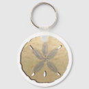 Search for shorelines accessories Beaches