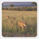 Search for land animal stickers Outdoors