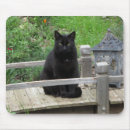 Search for black cat mousepads Kitty