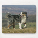 Search for panting mousepads Canine photographer