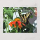 Search for random postcards Random acts of kindness