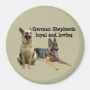 Search for german magnets Gsd