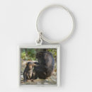 Search for tanzania key rings Wildlife