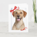 Search for yellow lab christmas cards Labrador retriever