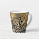 Search for its a mugs Cute
