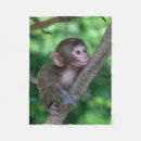 Search for monkey blankets Young animal