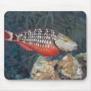 Search for individual mousepads Red