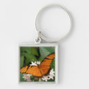 Search for lepidoptera key rings Butterflies