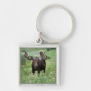 Search for moose antlers key rings Animal