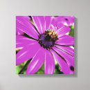 Search for honey bee canvas prints Floral