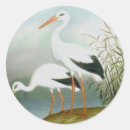 Search for bird illustration stickers Birds