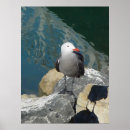 Search for seagull posters California