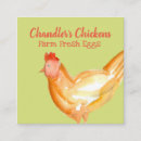 Search for eggs for sale business cards Chicken