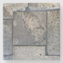 Search for fossil coasters Pattern