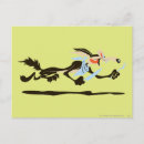 Search for wile coyote postcards Looney tunes coyote