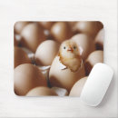 Search for baby chicks mousepads Farm