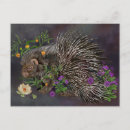 Search for crest postcards Nature