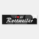 Search for rottweiler gear bumper stickers Canine