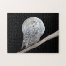 Search for owl puzzles Moon