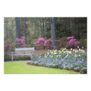Search for nature border posters Plant