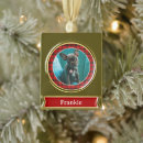 Search for photo pet memorial christmas tree decorations Puppy