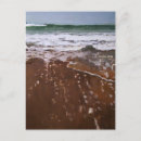 Search for venice california postcards Surfer