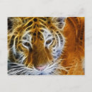 Search for tiger portrait postcards Safari