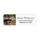 Search for trashed photography Trash panda