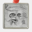 Search for study of christmas tree decorations Animal