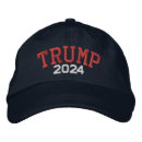 Search for campaigns Politics