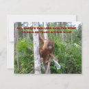 Search for environmental conservation cards Wildlife