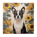 Search for terrier tiles Pet