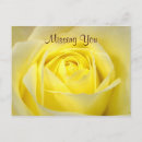 Search for yellow rose postcards Flower