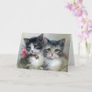 Search for cute kitty cards Adorable