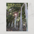 Search for banyan postcards Roots