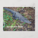 Search for dangerous postcards Florida