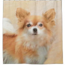 Search for chihuahua shower curtains Dog