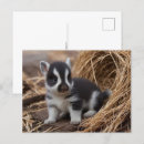 Search for cute baby animals postcards Postcrossing