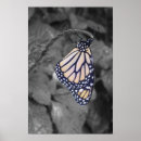 Search for spots posters Butterfly
