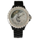 Search for desert birds accessories Wildlife
